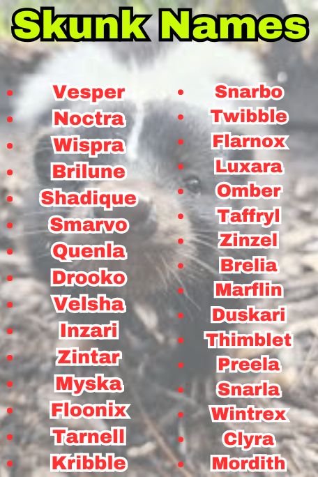 700+ Skunk Names for Baby Skunks That Are Too Cute