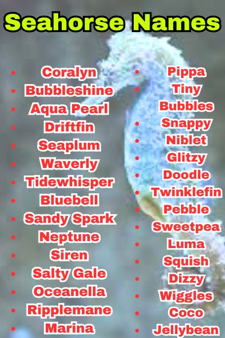 1010+ Seahorse Names: Ocean, Fantasy & Tropical 