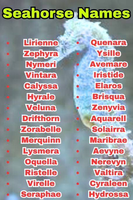 1010+ Seahorse Names: Ocean, Fantasy & Tropical 