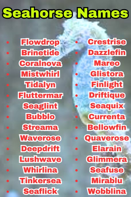 1010+ Seahorse Names: Ocean, Fantasy & Tropical 