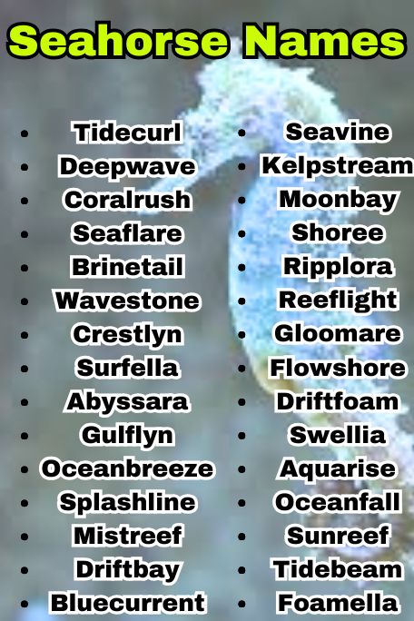 1010+ Seahorse Names: Ocean, Fantasy & Tropical 