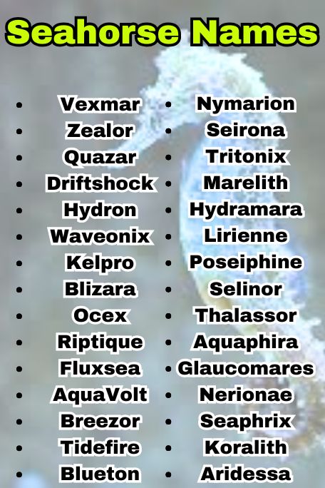 1010+ Seahorse Names: Ocean, Fantasy & Tropical 