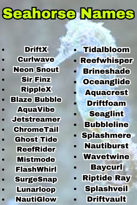 1010+ Seahorse Names: Ocean, Fantasy & Tropical 