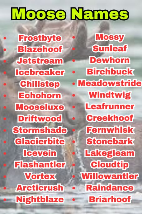 765+ Moose Names Inspired by Nature, Myth, and Fun 