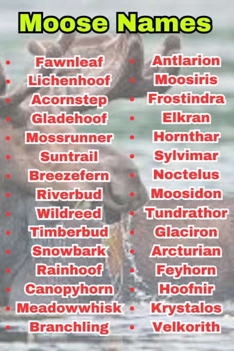 765+ Moose Names Inspired by Nature, Myth, and Fun 