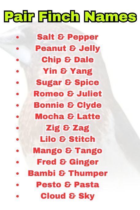Pair Finch Names