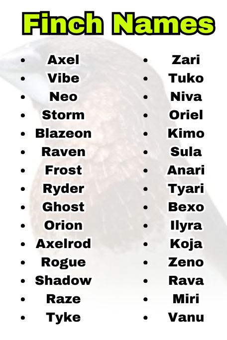 Finch Names