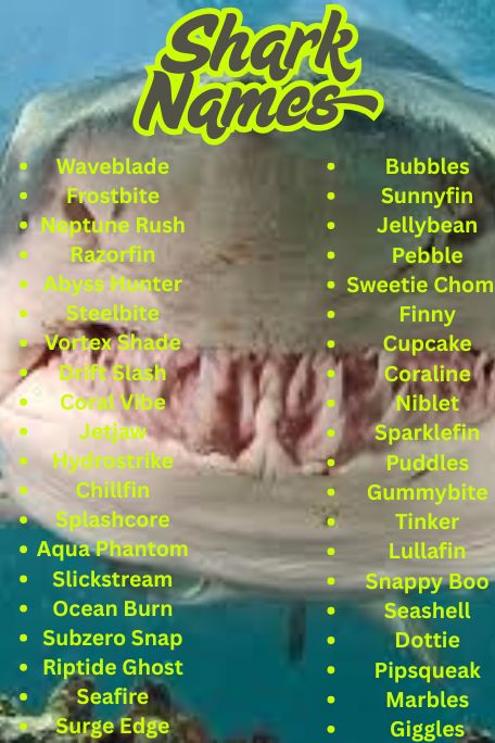 1200+ Shark Names: Funny, Cool & Ocean Guide