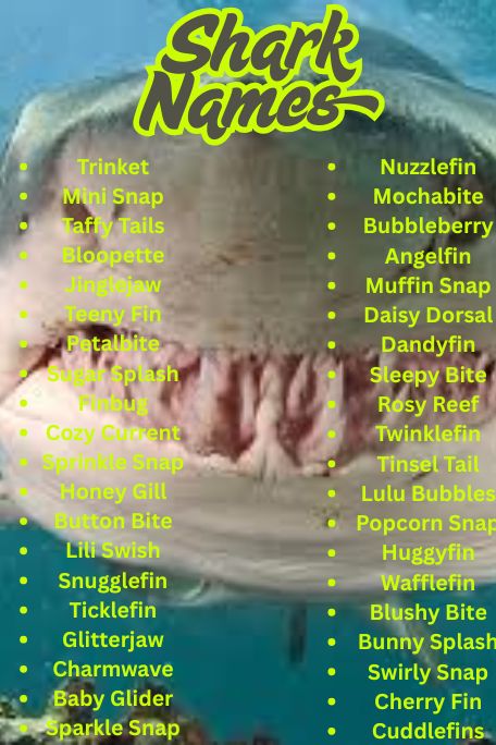1200+ Shark Names: Funny, Cool & Ocean Guide