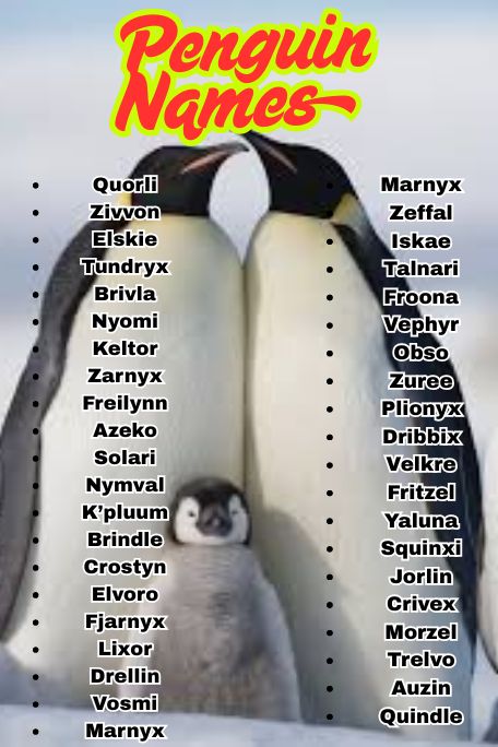 1100+ Penguin Names for Cute, Funny & Famous Birds