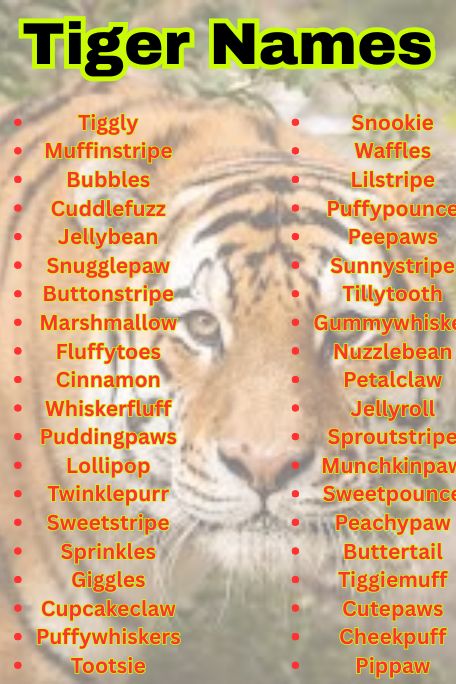1200+ Tiger Names for Baby, Jungle, and Mythical Cats