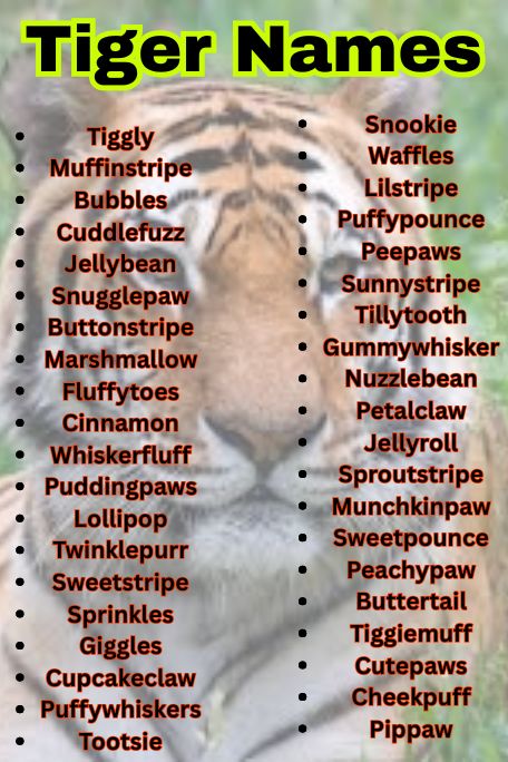 1200+ Tiger Names for Baby, Jungle, and Mythical Cats