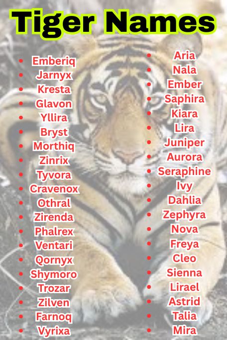 1200+ Tiger Names for Baby, Jungle, and Mythical Cats