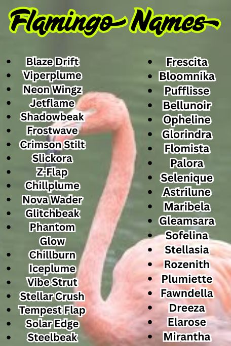 1200+ Flamingo Names: Funny, Cute & Unique List