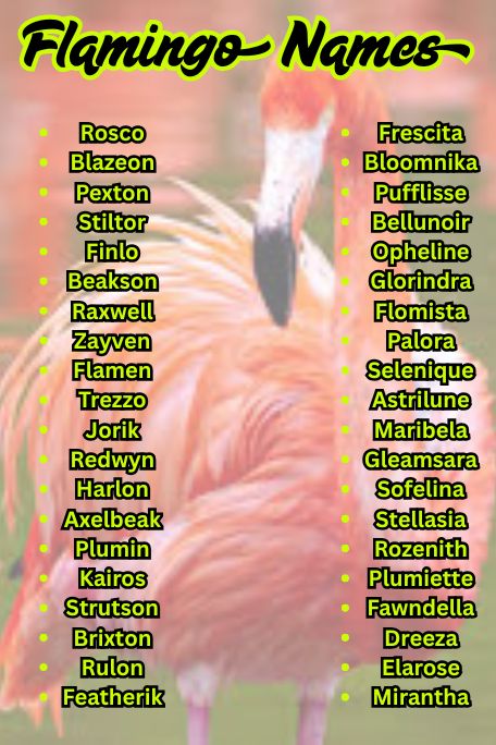 1200+ Flamingo Names: Funny, Cute & Unique List