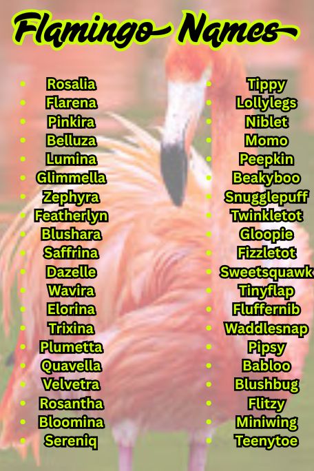1200+ Flamingo Names: Funny, Cute & Unique List
