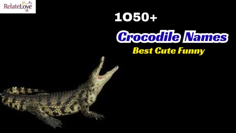 1050+ Best Cute Funny Crocodile Names for Your Pet Reptile