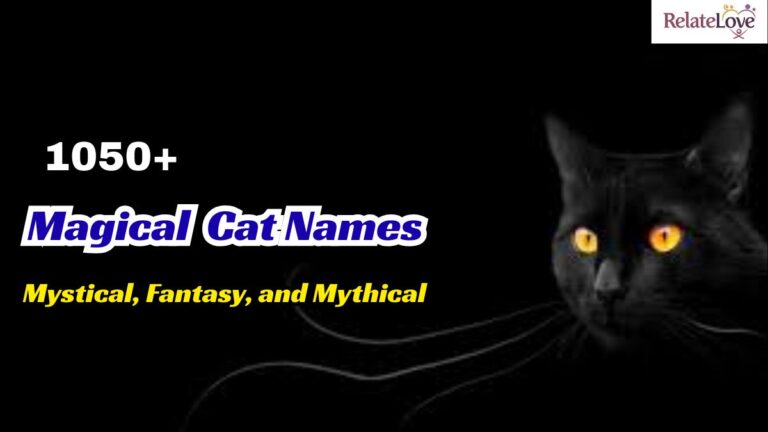 1050+ Magical Cat Names: Mystical, Fantasy, and Mythical
