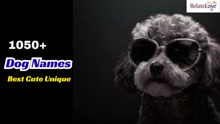 1050+ Best Cute Unique Dog Names for Every Puppy Lover
