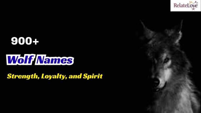 900+ Wolf Names for Strength, Loyalty, and Spirit