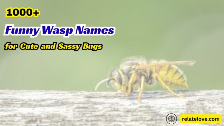 1000+ Funny Wasp Names for Cute and Sassy Bugs