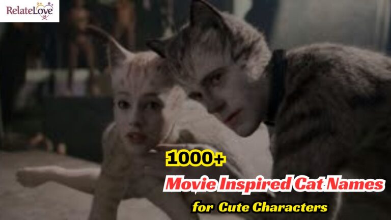 1000+ Movie Inspired Cat Names for Cute Characters