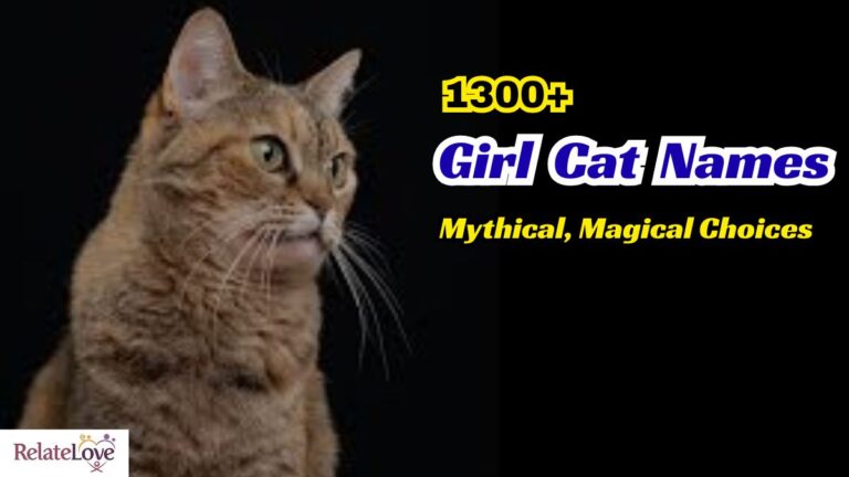 1300+ Girl Cat Names, Mythical, Magical Choices