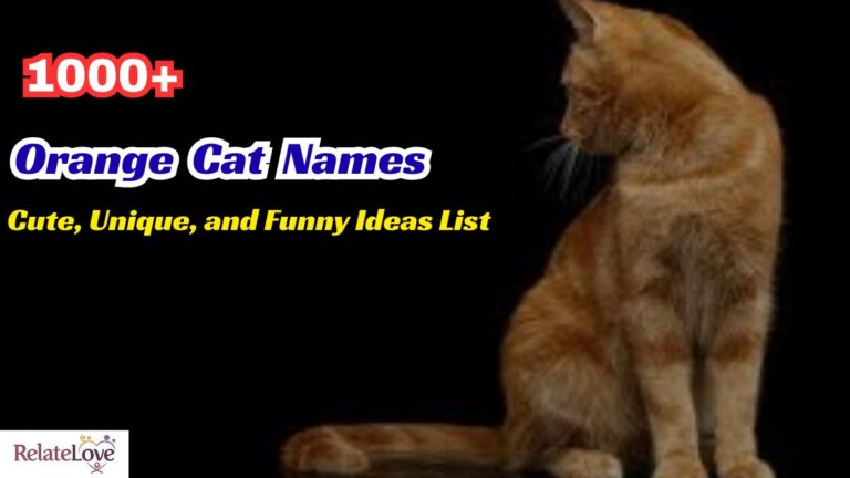 1000+ Orange Cat Names: Cute, Unique, and Funny Ideas List