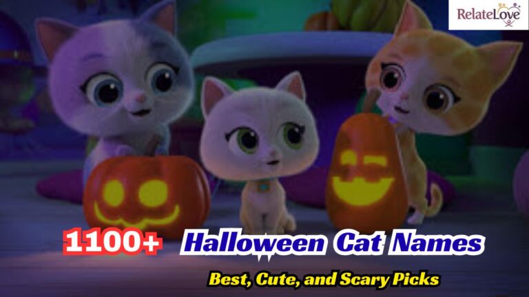 1100+ Halloween Cat Names: Best, Cute, and Scary Picks