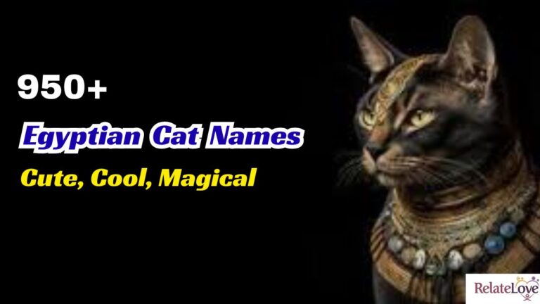 900+ Egyptian Cat Names: Cute, Cool, Magical Cat Ideas
