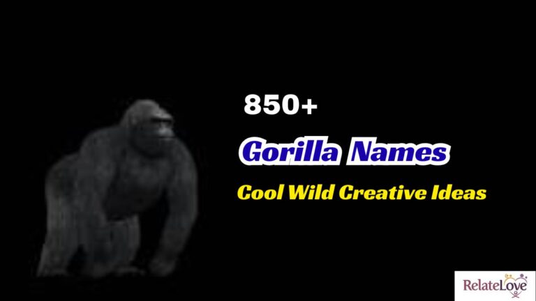 850+ Gorilla Names Cool Wild Creative Ideas for You