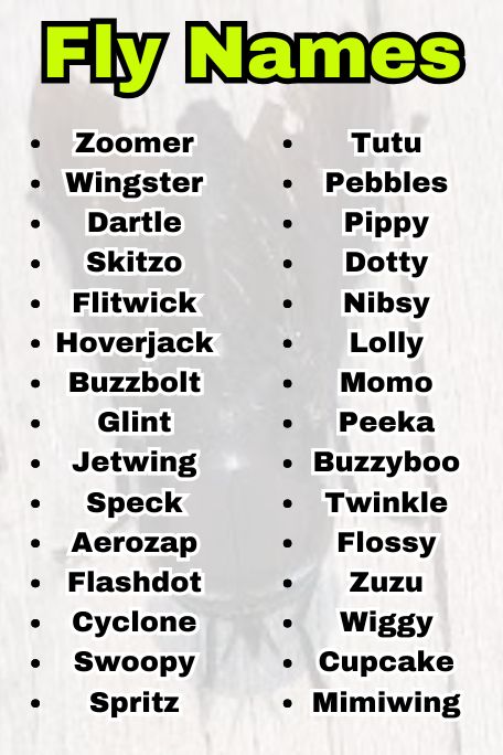 Fly Names