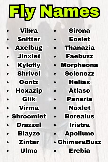 Fly Names