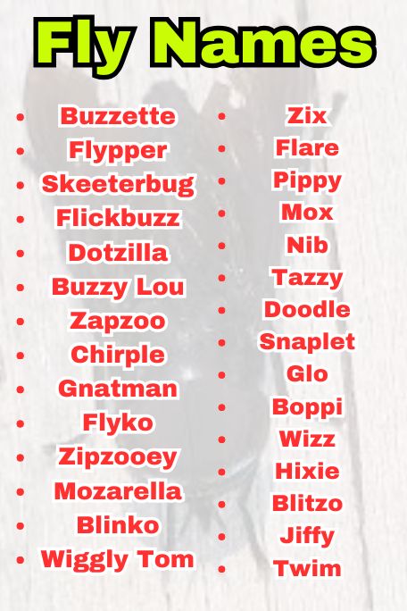 Fly Names