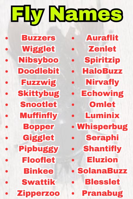 Fly Names