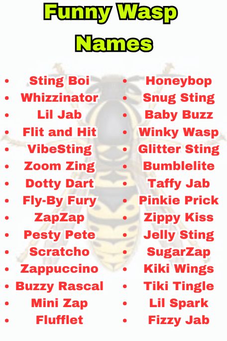 Wasp Names