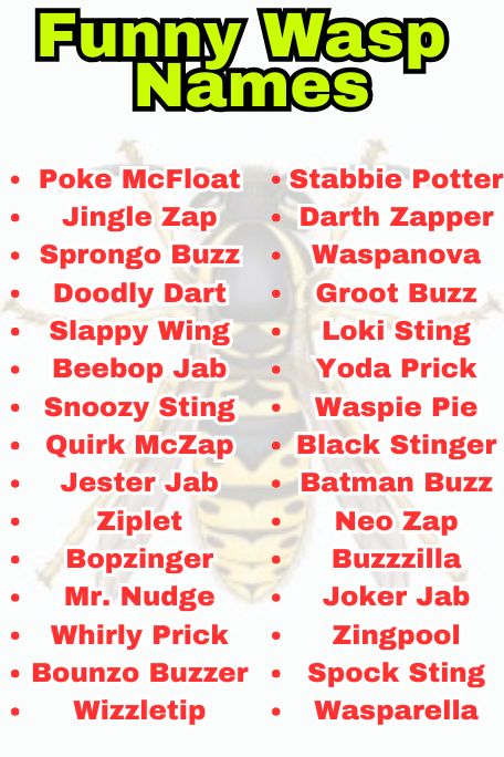 Wasp Names