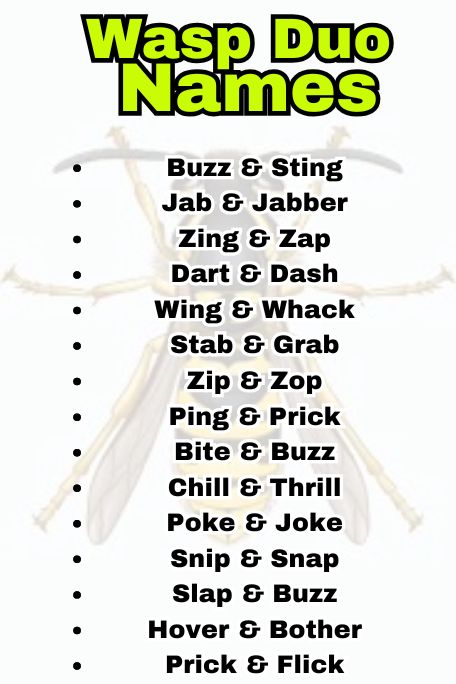 Wasp Duo Names