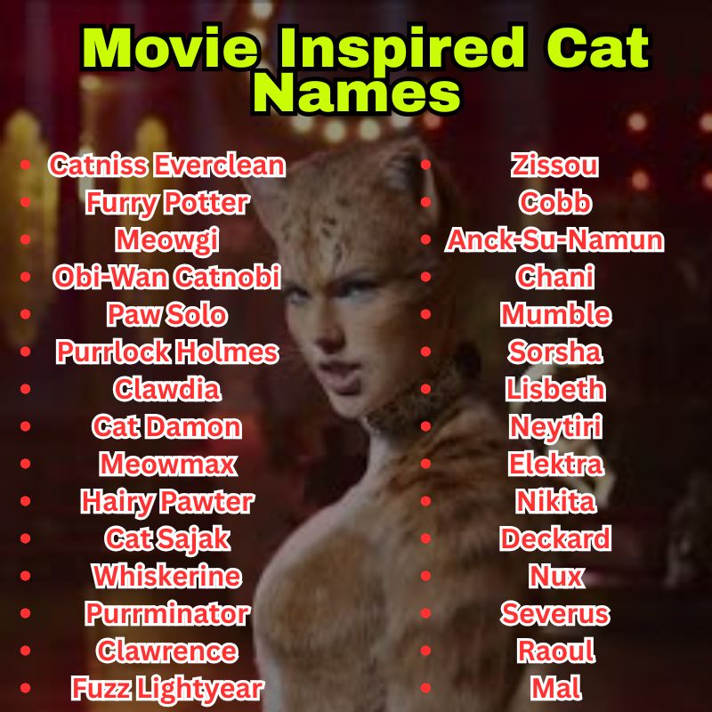 Movie Inspired Cat Names