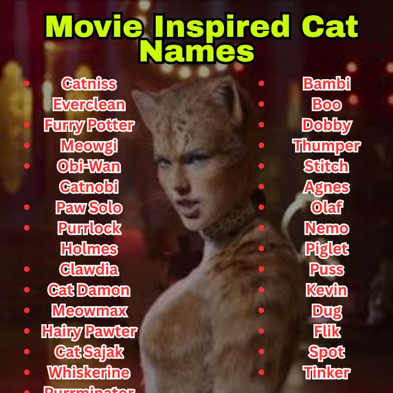 Movie Inspired Cat Names
