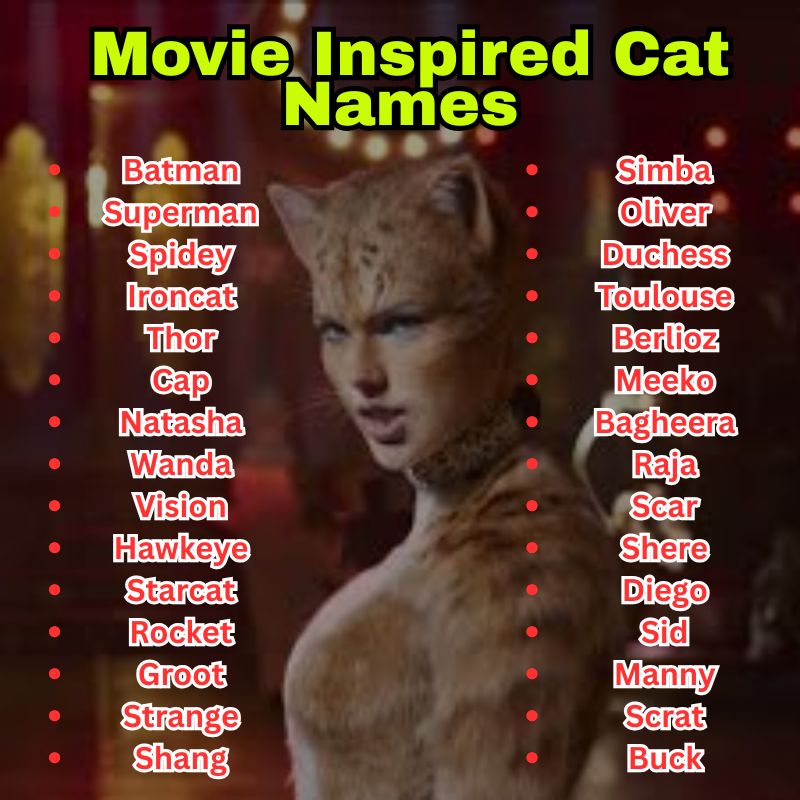 Movie Inspired Cat Names