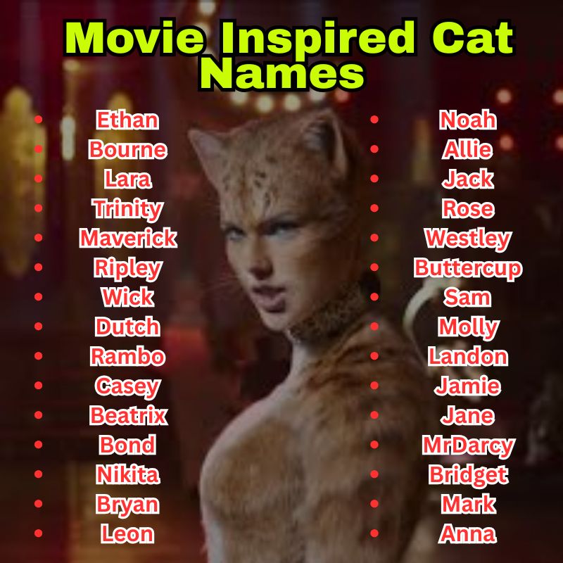 Movie Inspired Cat Names