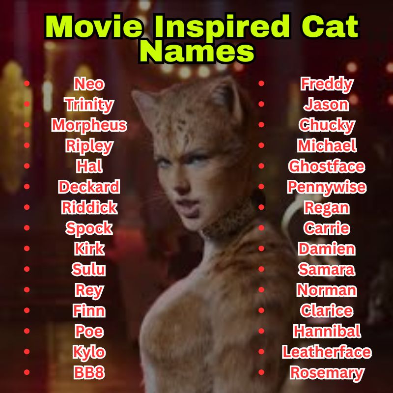 Movie Inspired Cat Names