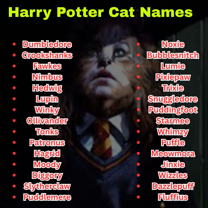 Cute Harry Potter Cat Names