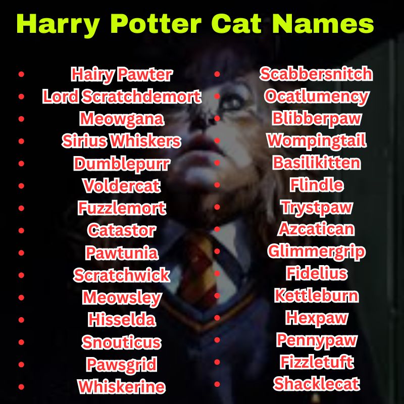 Funny Harry Potter Cat Names