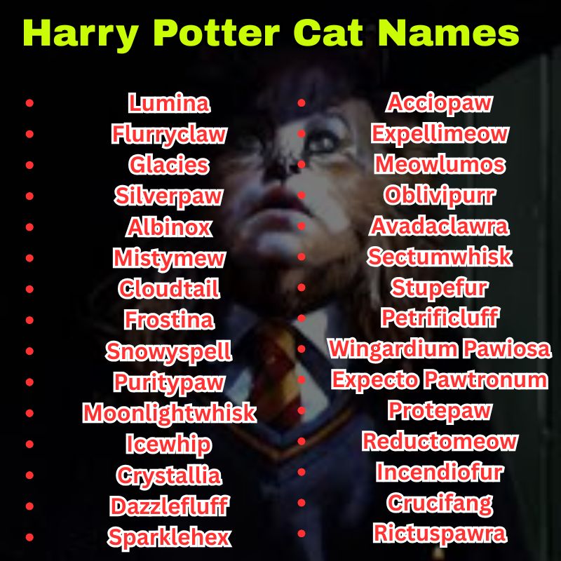 Harry Potter Cat Names from Mythical Creatures