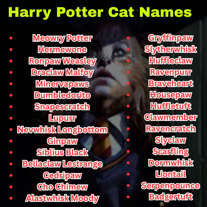 Harry Potter Cat Names