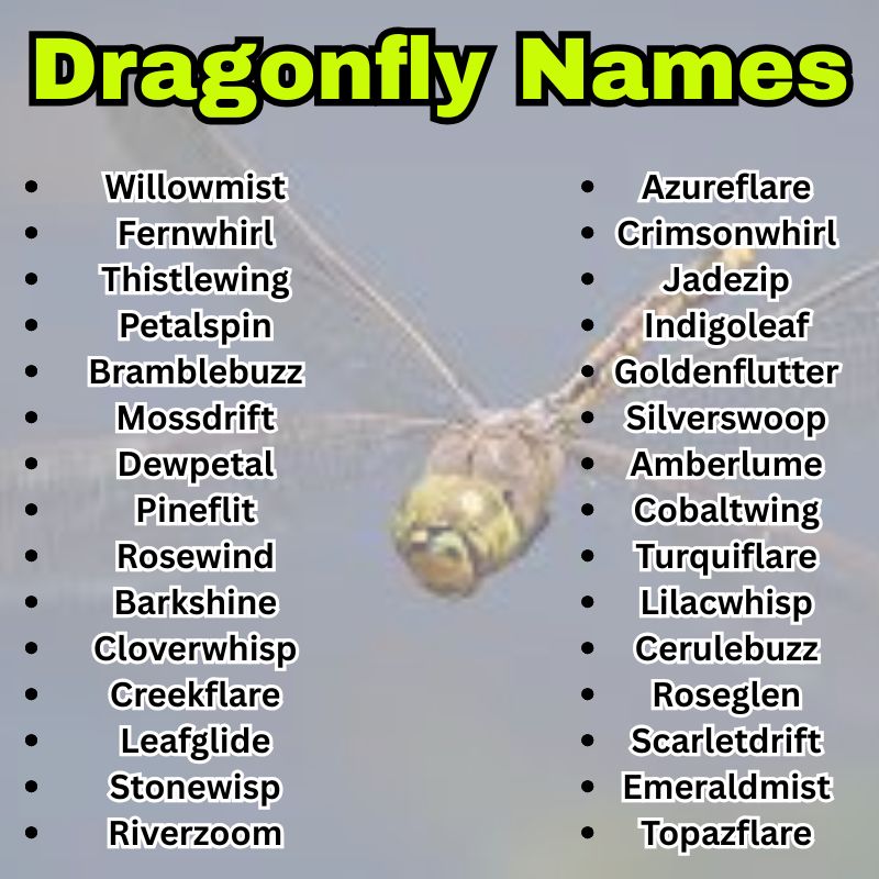 Dragonfly Names