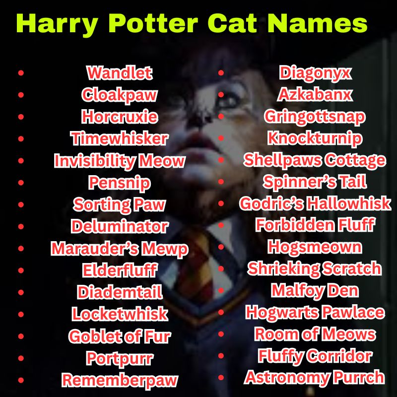 Cat Names from Fantastic Beasts