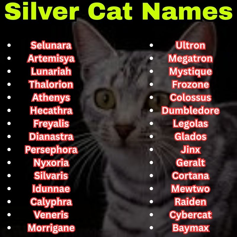 Mythology Silver Cat Names